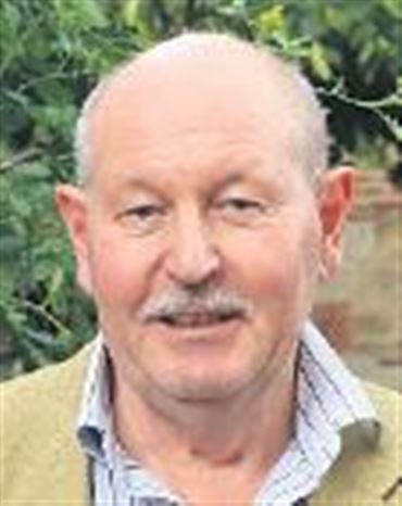 Profilbild Albert Ludwig Runkel